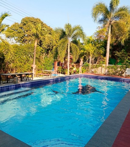 รับปรับปรุงสระว่ายน้ำ